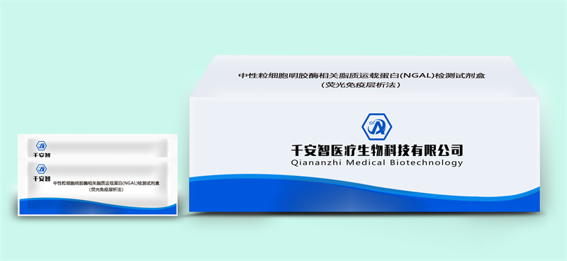 中性粒細(xì)胞明膠酶相關(guān)脂質(zhì)運(yùn)載蛋白(NGAL)檢測(cè)試劑盒