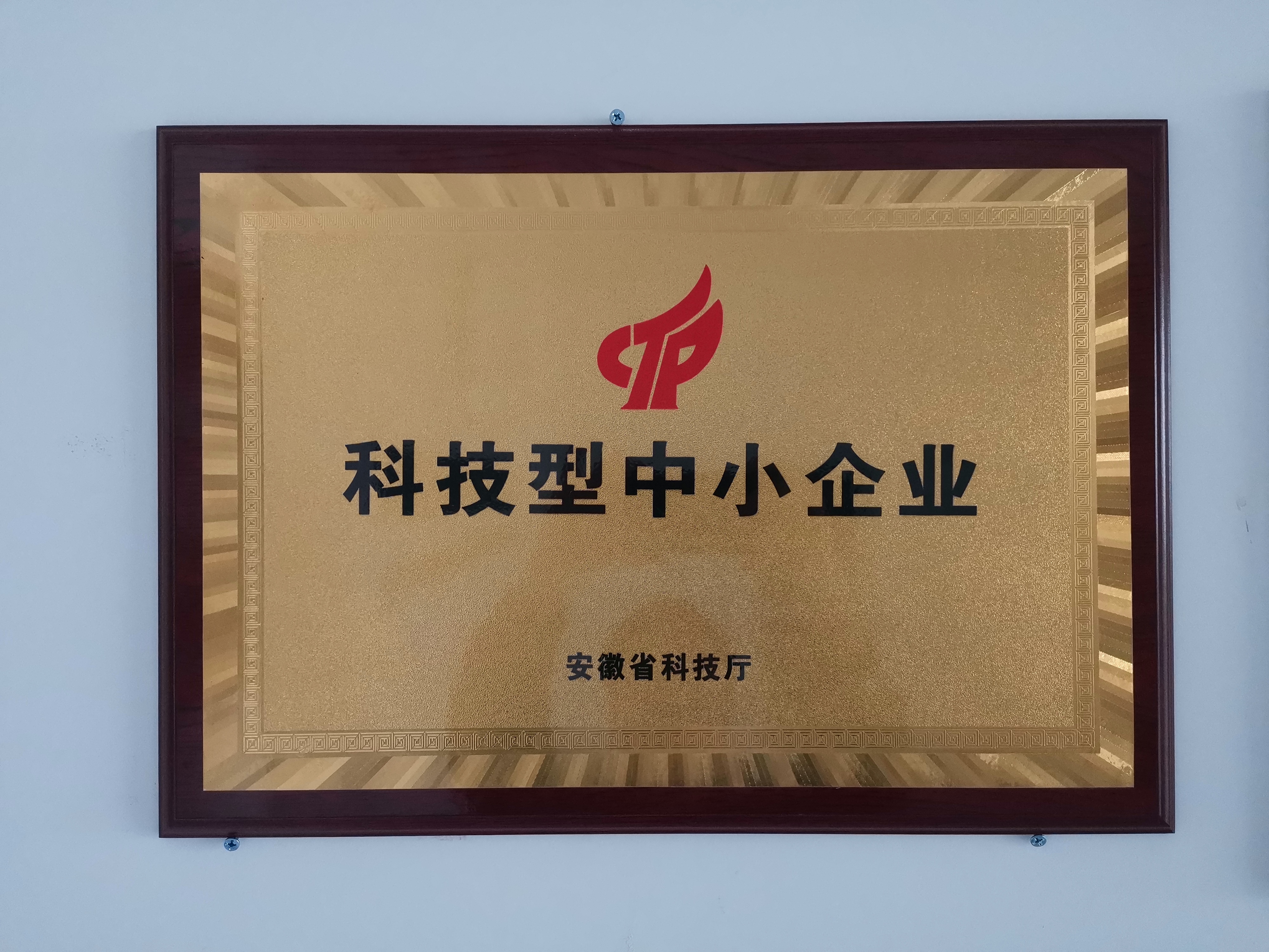 科技型中小企業(yè)
